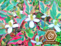 Preview: Eidechsenschwanz Chameleon
